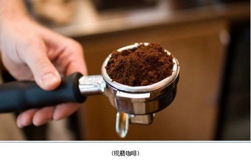 咖啡机租赁网