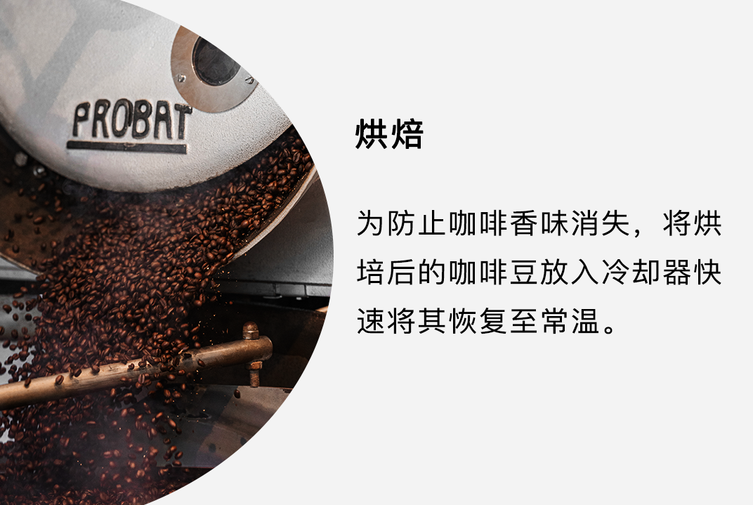 咖啡机公司用/家用推荐全自动性价比高